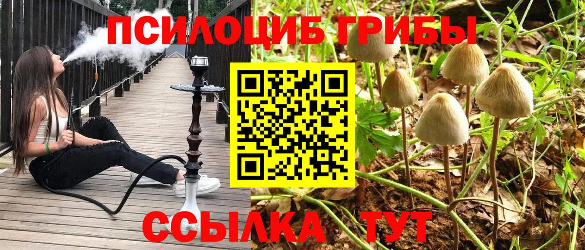 Псилоцибиновые грибы MAGIC MUSHROOMS Барабинск