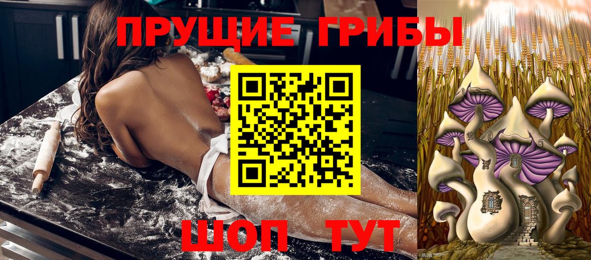 Галлюциногенные грибы Cubensis  Псилоцибиновые грибы Psilocybe  Барабинск  как найти закладки  Вход с VPN 
